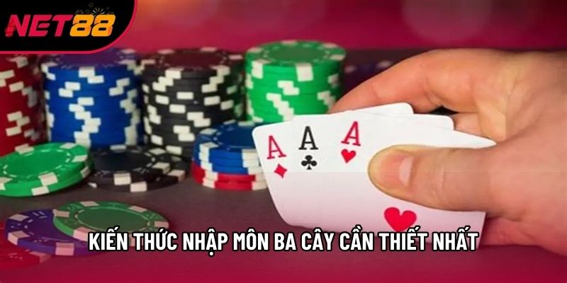 Kiến thức nhập môn ba cây cần thiết nhất Kiến thức nhập môn ba cây cần thiết nhất