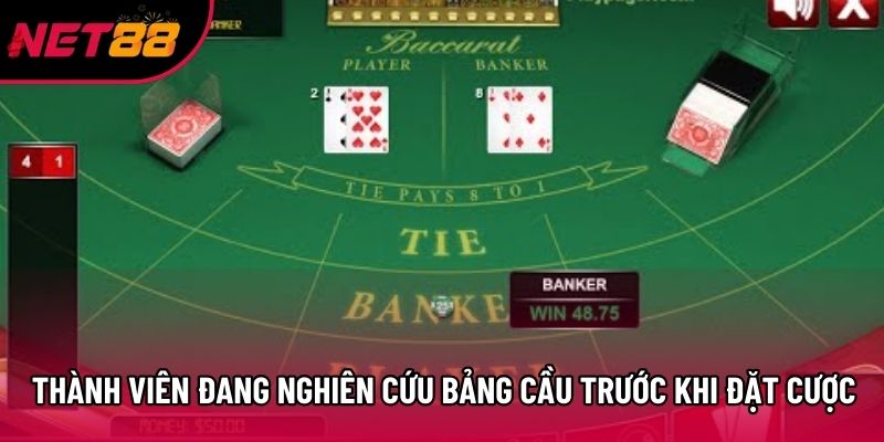Thành viên đang nghiên cứu bảng cầu trước khi đặt cược