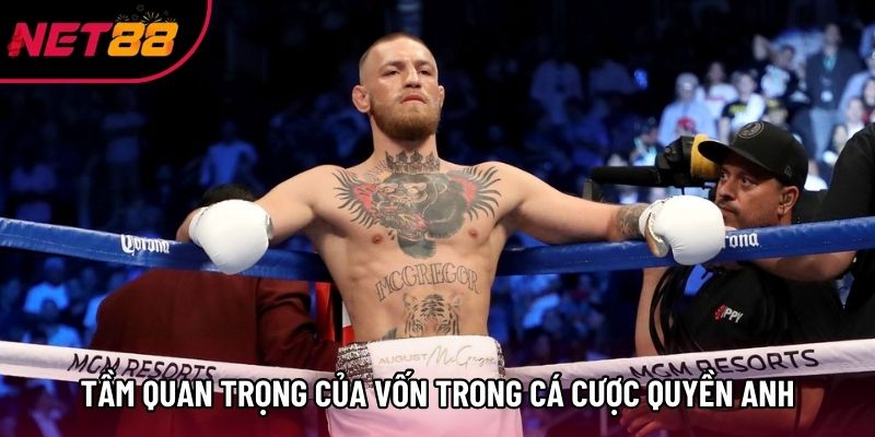 Tầm quan trọng của vốn trong cá cược quyền anh