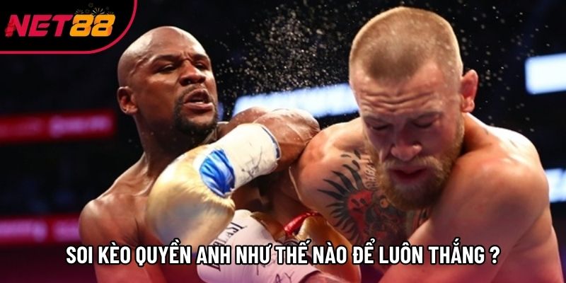 Soi kèo quyền anh như thế nào để luôn thắng?