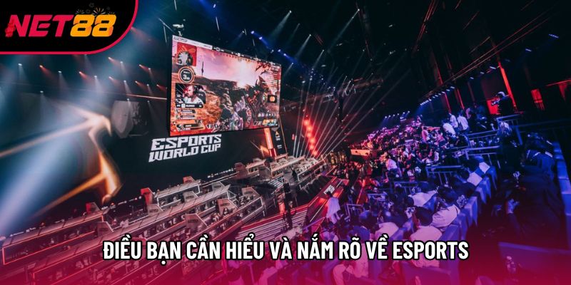 Điều bạn cần hiểu và nắm rõ về esports Điều bạn cần hiểu và nắm rõ về esports