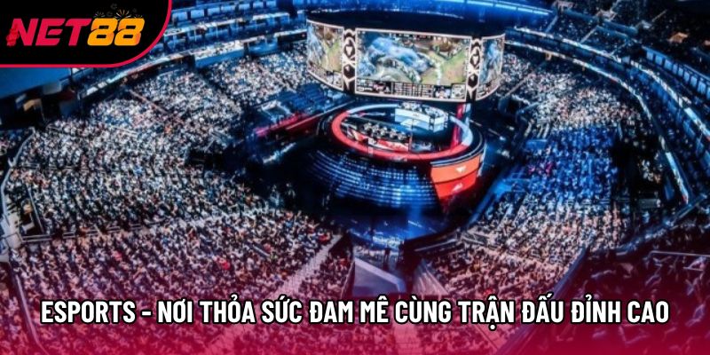 Esports - Nơi Thỏa Sức Đam Mê Cùng Trận Đấu Đỉnh Cao