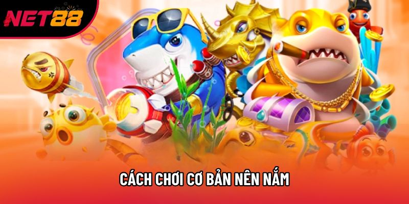 Cách chơi cơ bản nên nắm