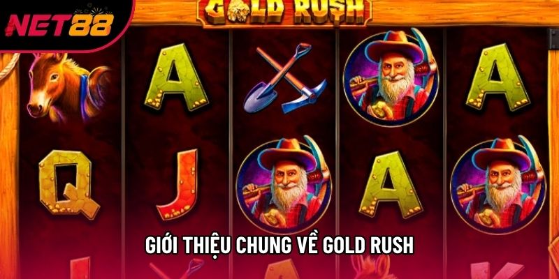 Giới thiệu chung về Gold Rush