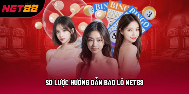 Sơ lược Hướng dẫn bao lô net88