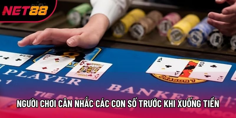 Người chơi cân nhắc các con số trước khi xuống tiền