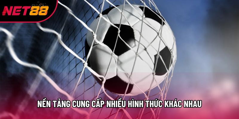 Nền tảng cung cấp nhiều hình thức khác nhau